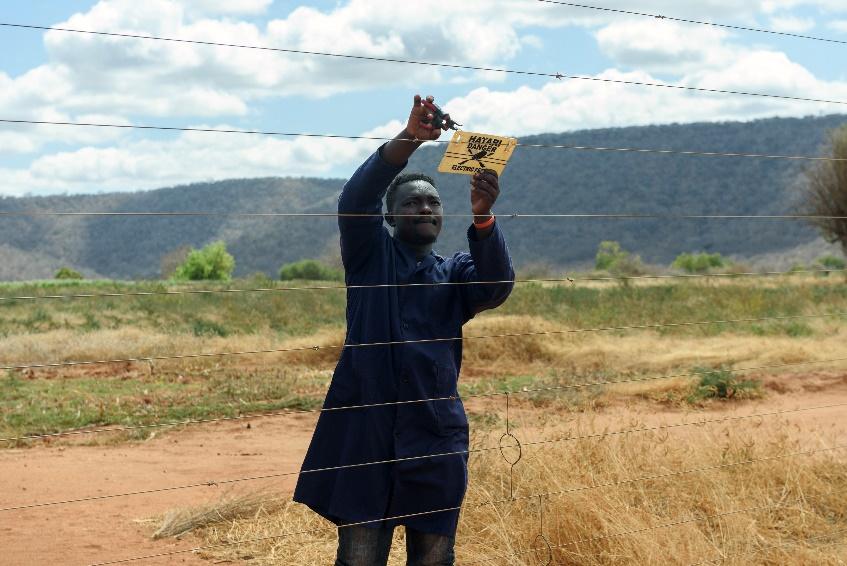 Tonny attaching a yellow sign to a barbed wire fence in an open field with distant hills in the background.