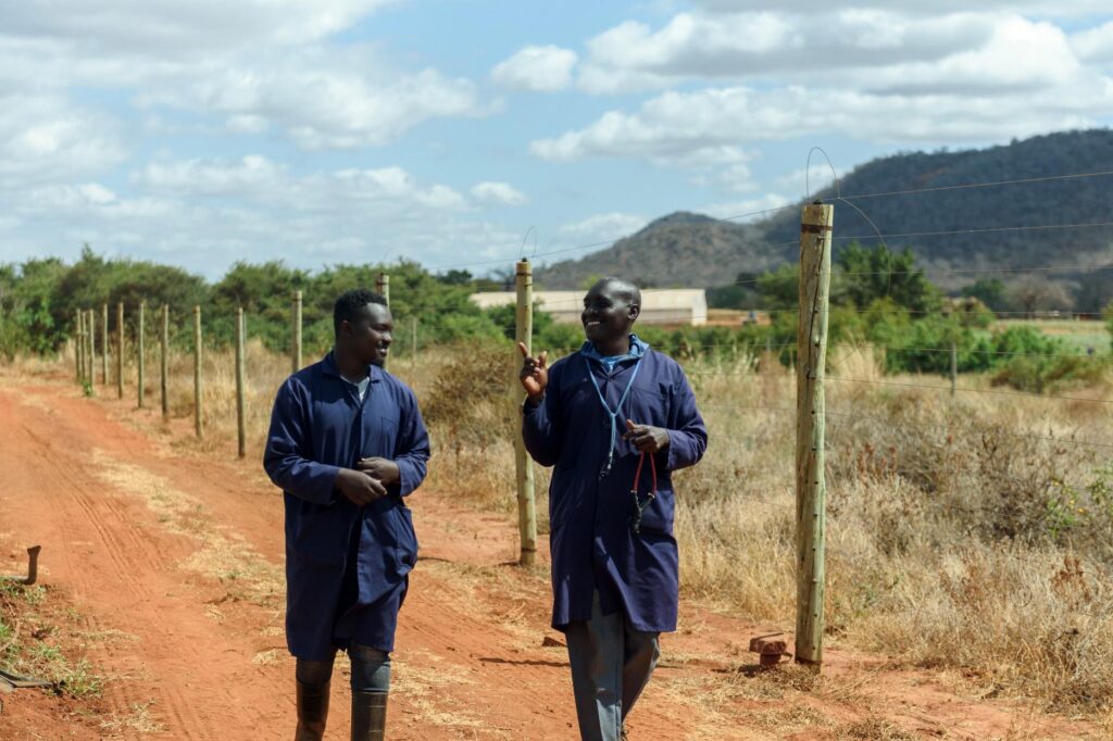 Tonny and a colleague in blue work coats walking along a dirt path beside a fence in a rural area, engaged in conversation.