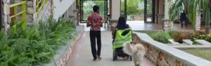 Ashesi campus walkway with lush greenery, a person in a wheelchair wearing a high-visibility vest, and a companion in a red floral shirt near stone walls.